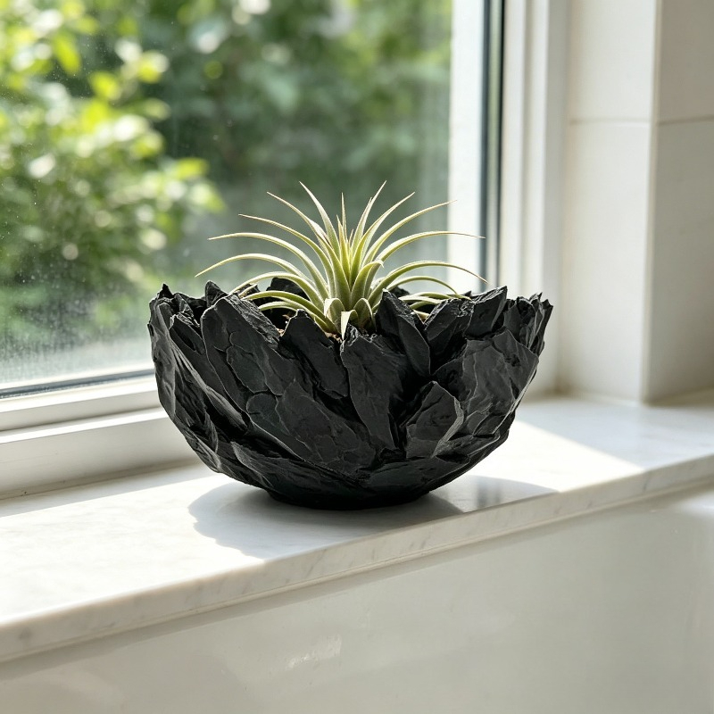 Echeveria Succulent - Plant Pot Large Caliber Stone Texture