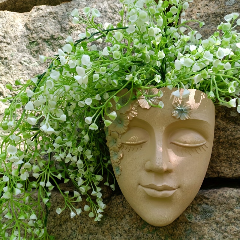 Creative Wall Mounted Facial F - Echeveria Succulent review and price