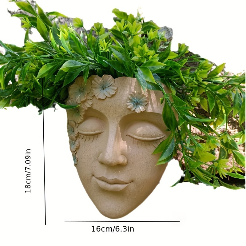 Creative Wall Mounted Facial F - Echeveria Succulent review and price