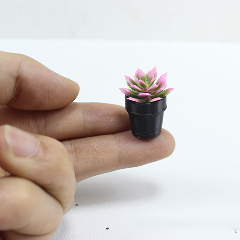 8Pcs Miniature Plastic Potted  - Echeveria Succulent review and price