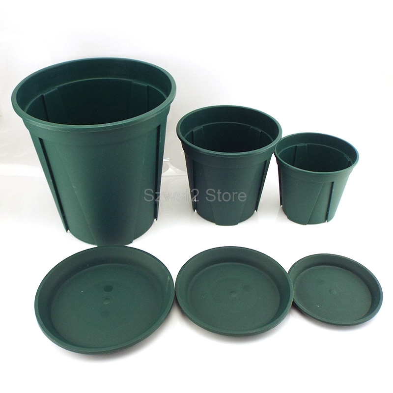 5/10pcs Green Plastic Plant Fl - Echeveria Succulent review and price