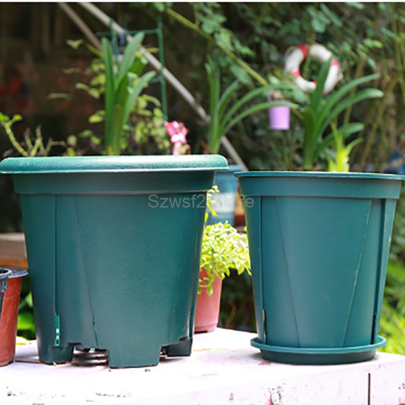 5/10pcs Green Plastic Plant Fl - Echeveria Succulent review and price